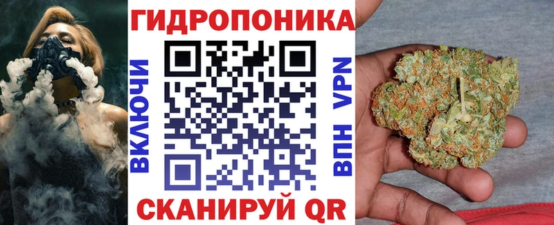 Как найти наркотики Сегежа ГАШИШ  Конопля  Кокаин  Псилоцибиновые грибы  МЕФ 