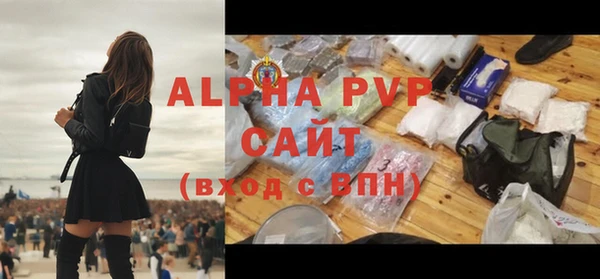 a pvp Пересвет