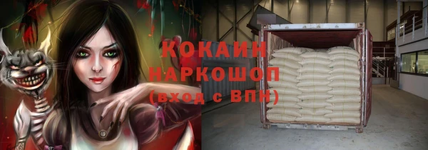 a pvp Пересвет