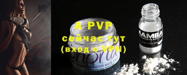 a pvp Пересвет