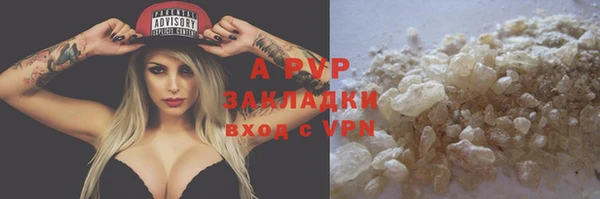 a pvp Пересвет