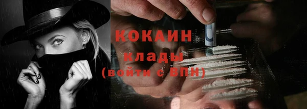 гашик Переславль-Залесский