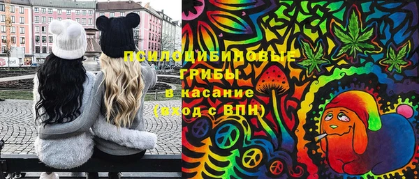 a pvp Пересвет
