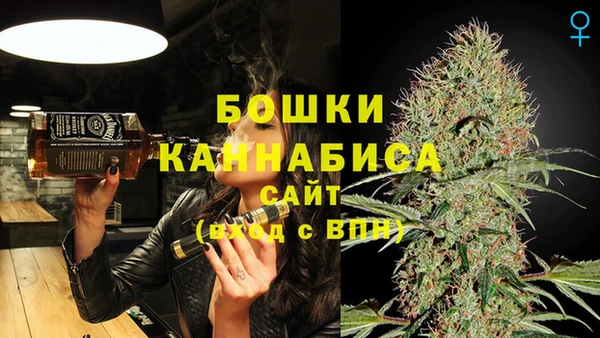 гашик Переславль-Залесский