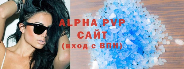 a pvp Пересвет
