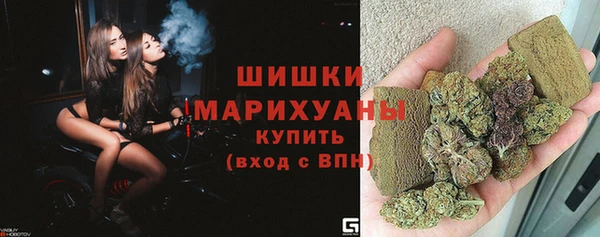 гашик Переславль-Залесский
