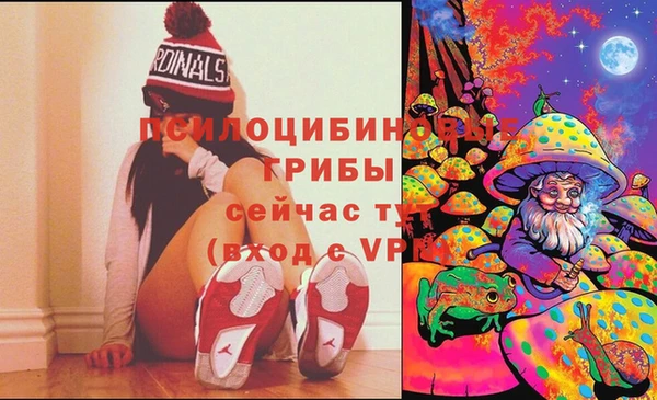 спайс Пестово