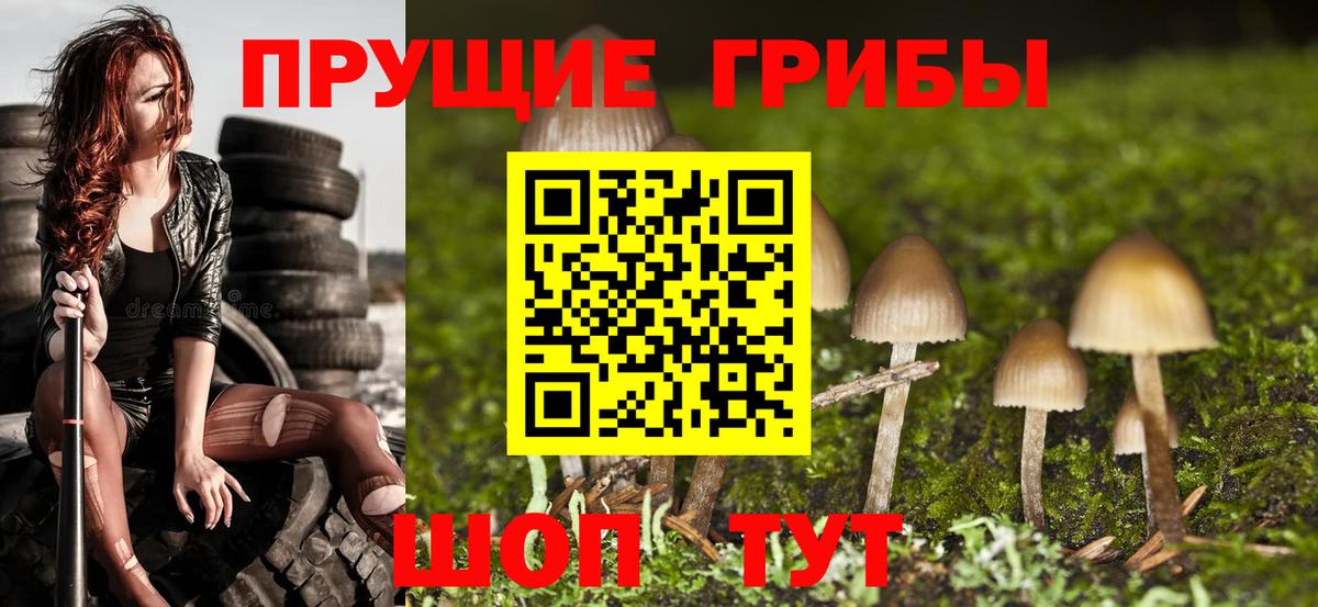 Псилоцибиновые грибы мухоморы  Вход с VPN  Сегежа 