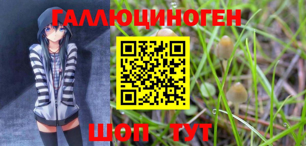 Галлюциногенные грибы Cubensis Сегежа