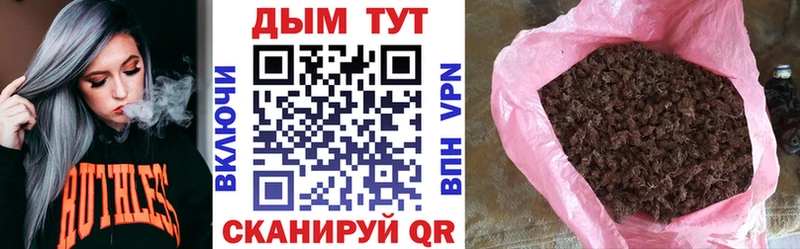 Марихуана Amnesia Сегежа